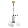 Candelabro suspenso CAMBRIDGE 3xE14/60W/230V preto/latão