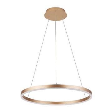 Candelabro suspenso DONA LED/62W/230V d. 80 cm