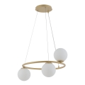 Candelabro suspenso GAMA 3xG9/12W/230V dourada