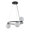 Candelabro suspenso GAMA 3xG9/12W/230V preto