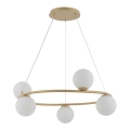 Candelabro suspenso GAMA 5xG9/12W/230V dourada