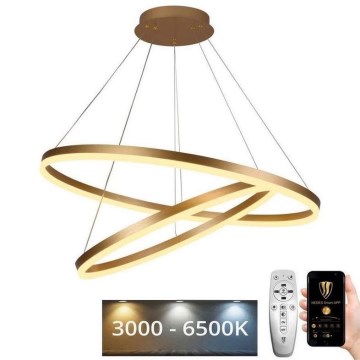 Candelabro suspenso LED com regulação LED/100W/230V 3000-6500K + controlo remoto