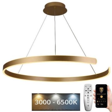 Candelabro suspenso LED com regulação LED/100W/230V 3000-6500K + controlo remoto