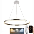 Candelabro suspenso LED com regulação LED/100W/230V 3000-6500K + controlo remoto
