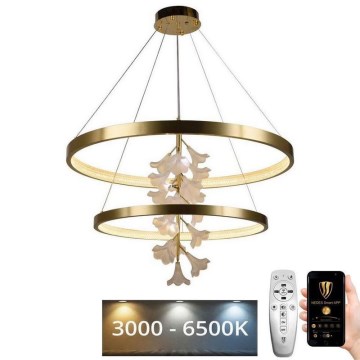 Candelabro suspenso LED com regulação LED/100W/230V 3000-6500K + controlo remoto
