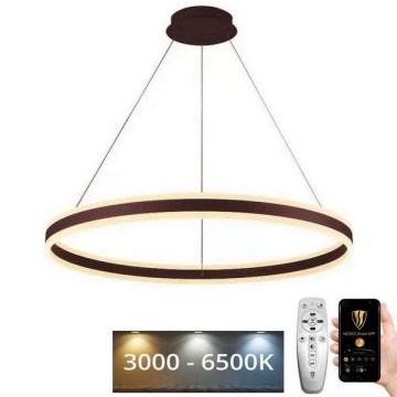 Candelabro suspenso LED com regulação LED/110W/230V 3000-6500K + controlo remoto