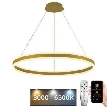 Candelabro suspenso LED com regulação LED/110W/230V 3000-6500K + controlo remoto