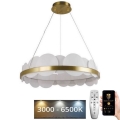Candelabro suspenso LED com regulação LED/40W/230V 3000-6500K dourada + controlo remoto