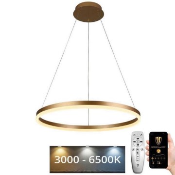 Candelabro suspenso LED com regulação LED/42W/230V 3000-6500K + controlo remoto