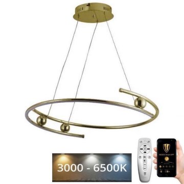 Candelabro suspenso LED com regulação LED/50W/230V 3000-6500K + controlo remoto