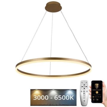 Candelabro suspenso LED com regulação LED/55W/230V 3000-6500K + controlo remoto