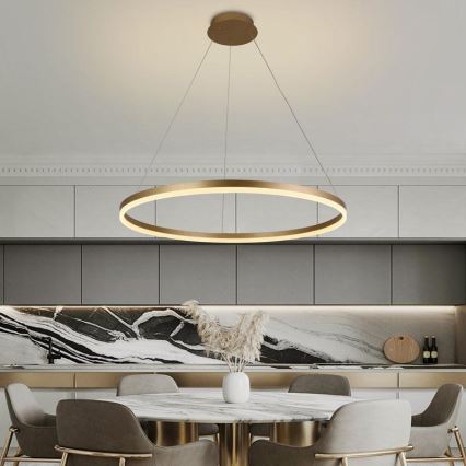 Candelabro suspenso LED com regulação LED/55W/230V 3000-6500K + controlo remoto