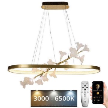 Candelabro suspenso LED com regulação LED/55W/230V 3000-6500K + controlo remoto