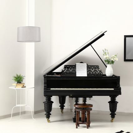 Candelabro suspenso MONTE 1xE27/60W/230V prateado