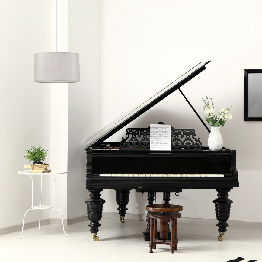 Candelabro suspenso MONTE 1xE27/60W/230V prateado
