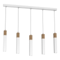 Candelabro suspenso SOLO 5xGU10/MR11/40W/230V branco