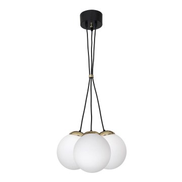 Candelabro suspenso SPARTA 3xE14/40W/230V