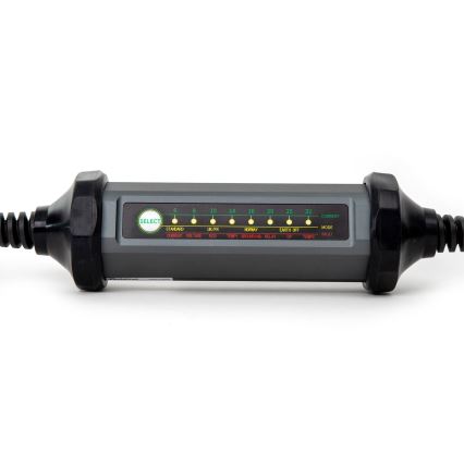 Carregador portátil para carros elétricos com 4 adaptadores Tipo 2 32A/480V 22kW 5m IP67