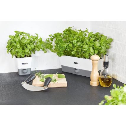 Cole&Mason - Moedor de sal grosso CAPSTAN BEECH faia 20 cm