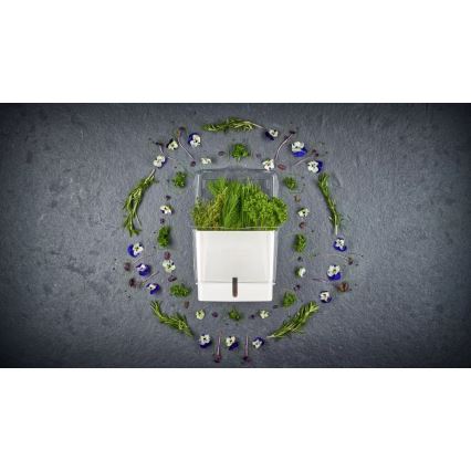Cole&Mason - Recipiente para armazenar ervas recém-cortadas