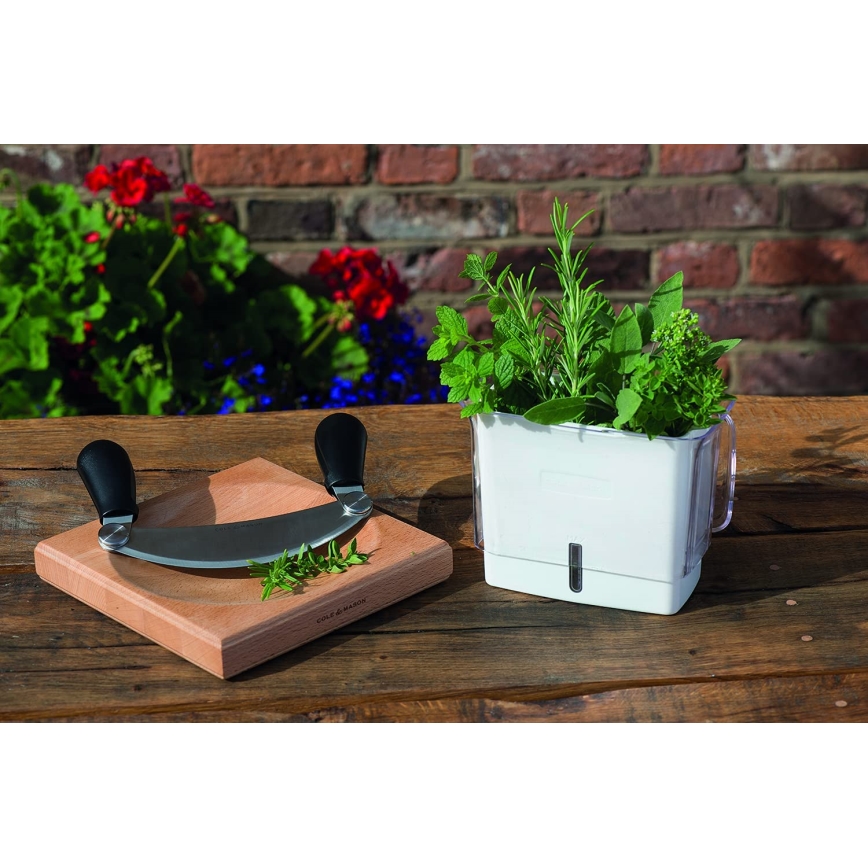 Cole&Mason - Tábua de cortar de cozinha e faca tipo cradle 21,5x51,5 cm faia