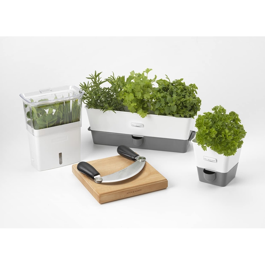 Cole&Mason - Tábua de cortar de cozinha e faca tipo cradle 21,5x51,5 cm faia