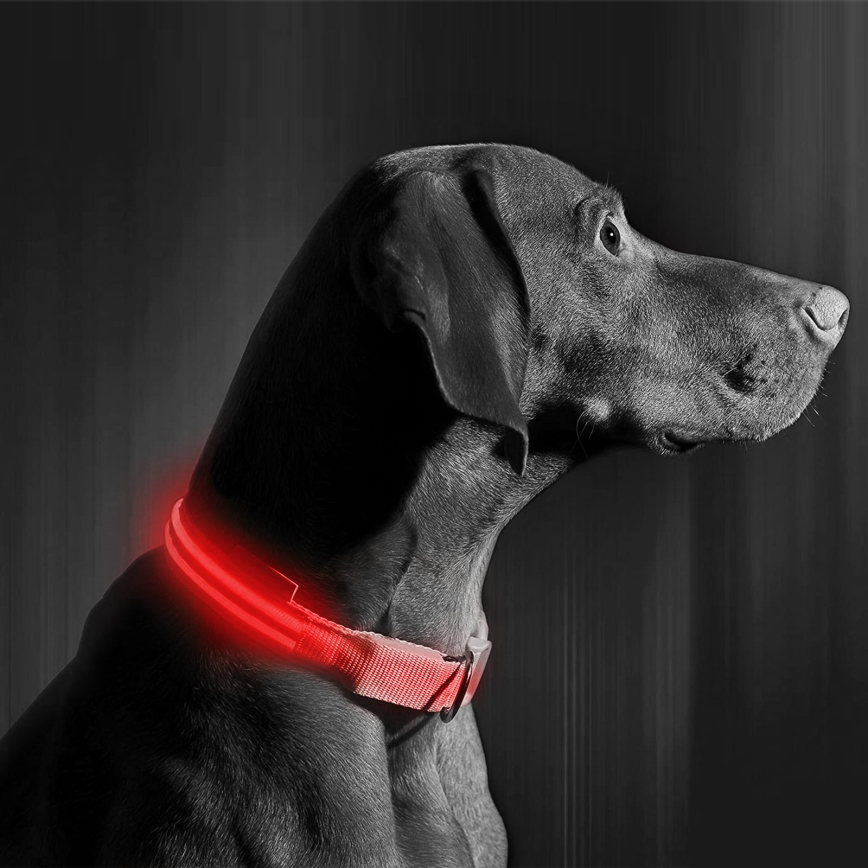 Coleira de cão LED Recarregável 35-43 cm 1xCR2032/5V/40 mAh vermelha