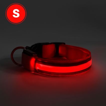 Coleira de cão LED Recarregável 35-43 cm 1xCR2032/5V/40 mAh vermelha