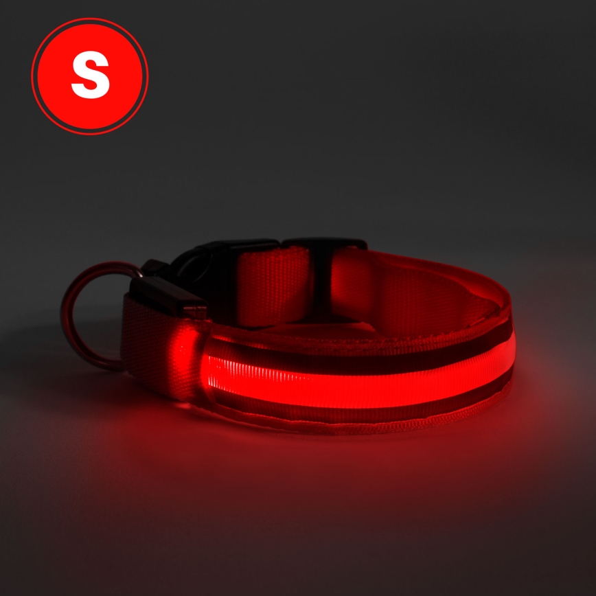Coleira de cão LED Recarregável 35-43 cm 1xCR2032/5V/40 mAh vermelha