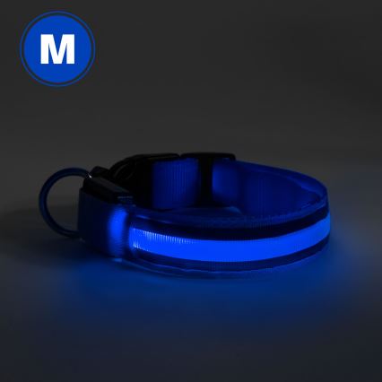 Coleira de cão LED Recarregável 40-48 cm 1xCR2032/5V/40 mAh azul