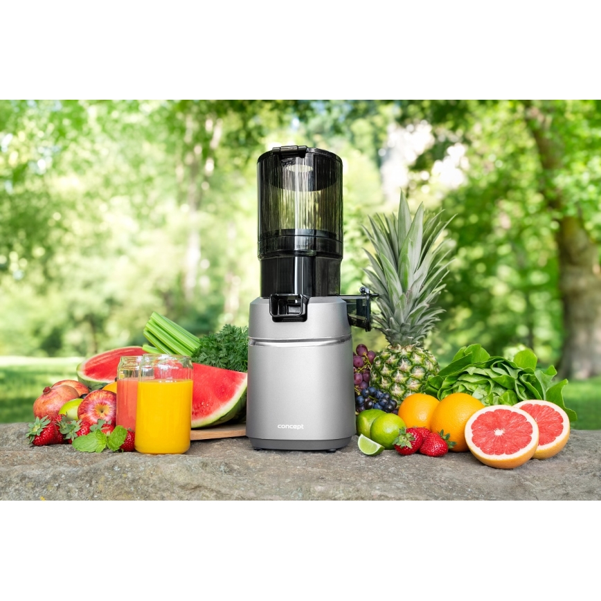 Concept LO7120 - Liquidificador JUICY 250W/230V cinzento
