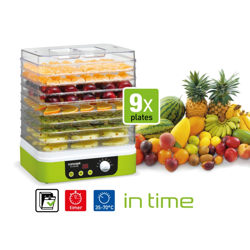 Concept SO1060 - Secador para alimentos 260W/230V verde