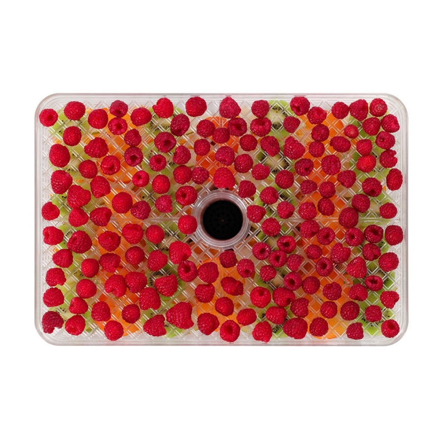 Concept SO2042 - Secador para alimentos 500W/230V preto + molde de silicone