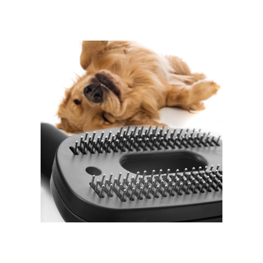 Concept VP5240N - Aspirador sem saco 4A RADICAL PET EXPERT 2,5 l 800W/230V bronze