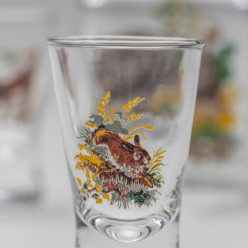 Conjunto 1x frasco de vidro e 2x copos para shots transparente com padrão de javali