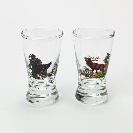Conjunto 1x garrafa de vidro e 2x copo para shots transparente