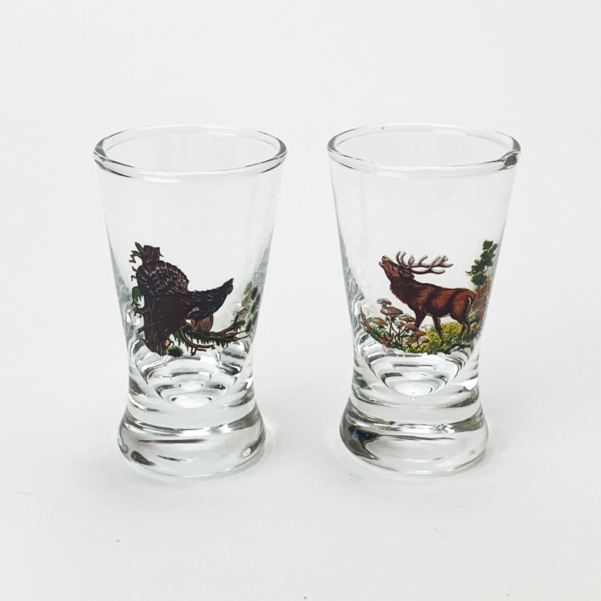 Conjunto 1x garrafa de vidro e 2x copo para shots transparente
