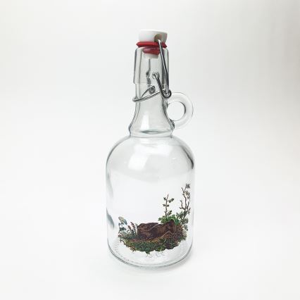 Conjunto 1x garrafa de vidro e 2x copo para shots transparente