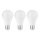 CONJUNTO 3x Lâmpada LED A67 E27/13W/230V 4000K - Attralux