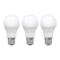 CONJUNTO 3x Lâmpadas LED ECOLINE A60 E27/15W/230V 4000K - Brilagi