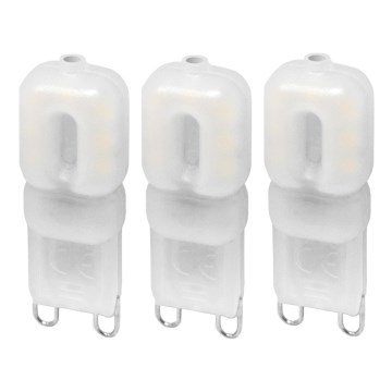 CONJUNTO 3x Lâmpadas LED ECOLINE G9/2,5W/230V 3000K - Brilagi