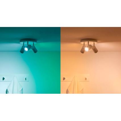 CONJUNTO 3x Lâmpadas LED RGBW com regulação PAR16 GU10/4,7W/230V 2200-6500K Wi-Fi - WiZ