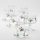 Conjunto 6x copo de vidro com pires e 1x açucareiro transparente buquê nº. 4