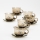 Conjunto 6x copo de vidro com pires fumado buquê no. 2