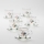 Conjunto 6x copos de vidro com pires transparente buquê no. 3