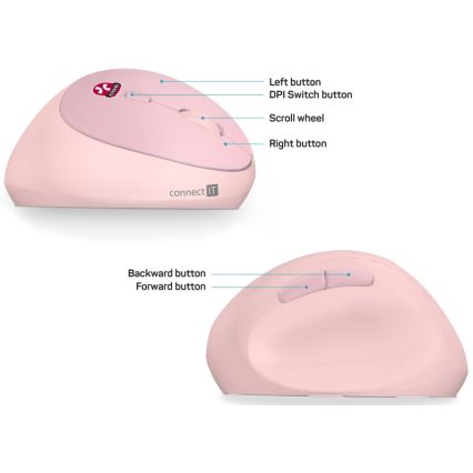 CONNECT IT CMO-2600-PK - Rato sem fios ergonómico 800/1200/1600 DPI 1x pilha AA rosa