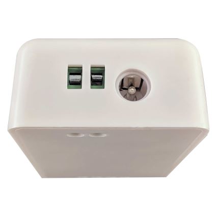 Controlador inteligente para tiras LED unicolor 5-24V Wi-Fi Tuya
