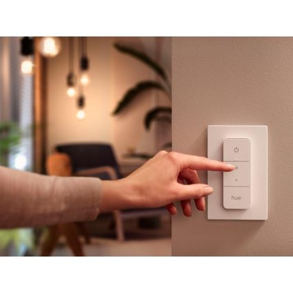 Controlo Remoto Philips Hue SWITCH V2 1xCR2032