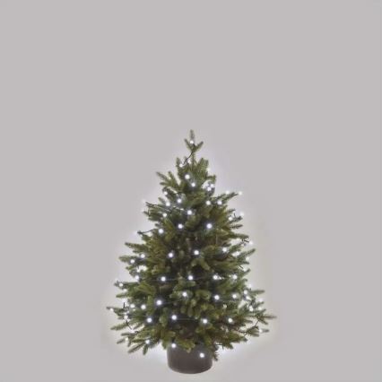 Cordão de luzes LED para exterior, 80 LEDs / 8 funções, 13 m, branco frio, IP44