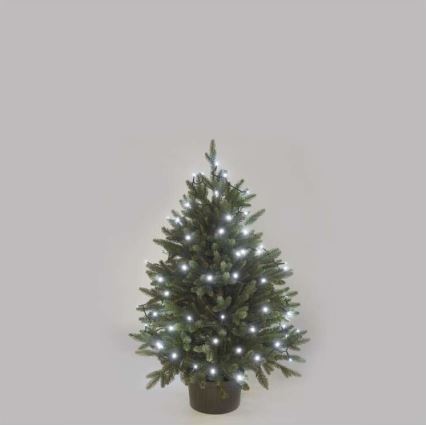 Corrente de Natal exterior LED 40xLED/9m IP44 branco frio